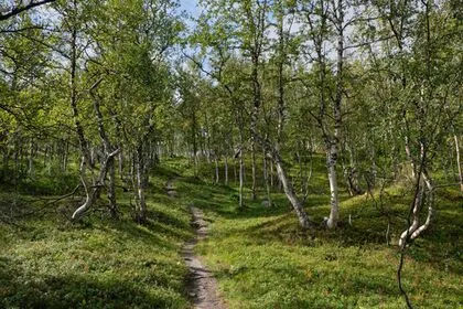 Easy, Family-Friendly Hiking Trails Around St. Louis