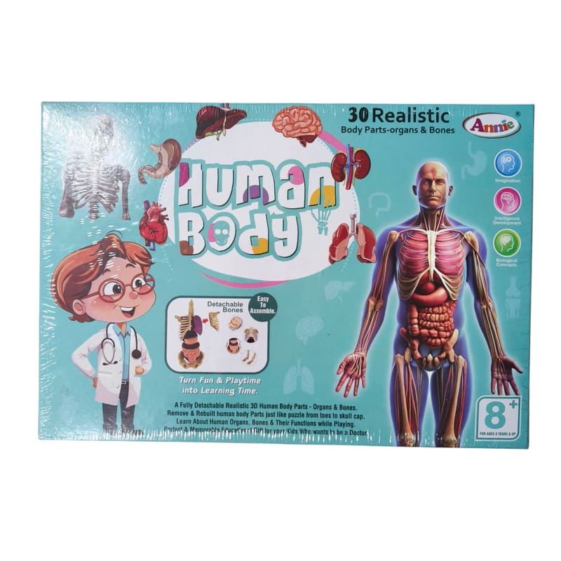 Human body
