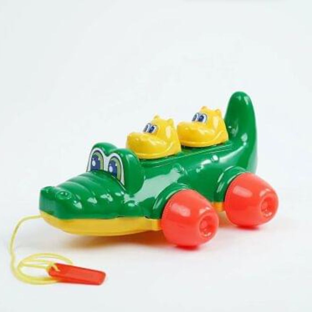 Baby croco