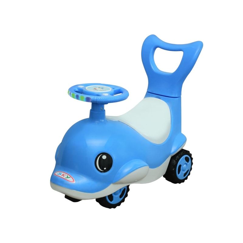 Dolphin Rider