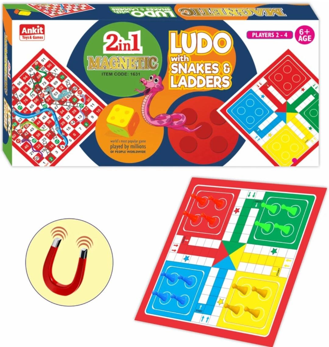 Magnetic ludo 15 (1631)