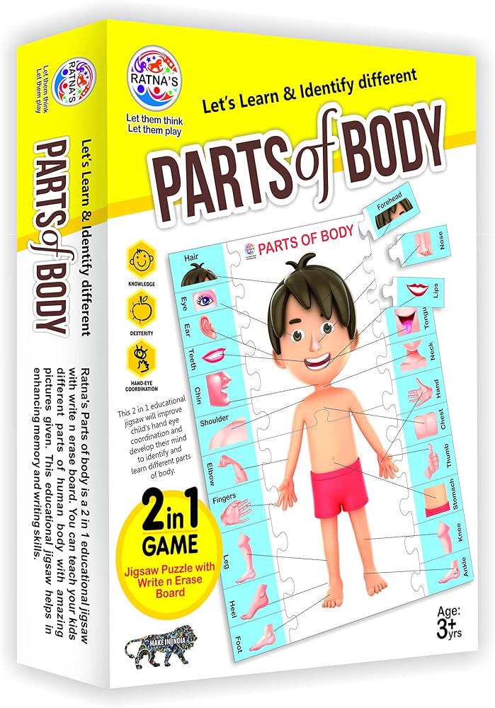 Parts of body jigsaw puzzle