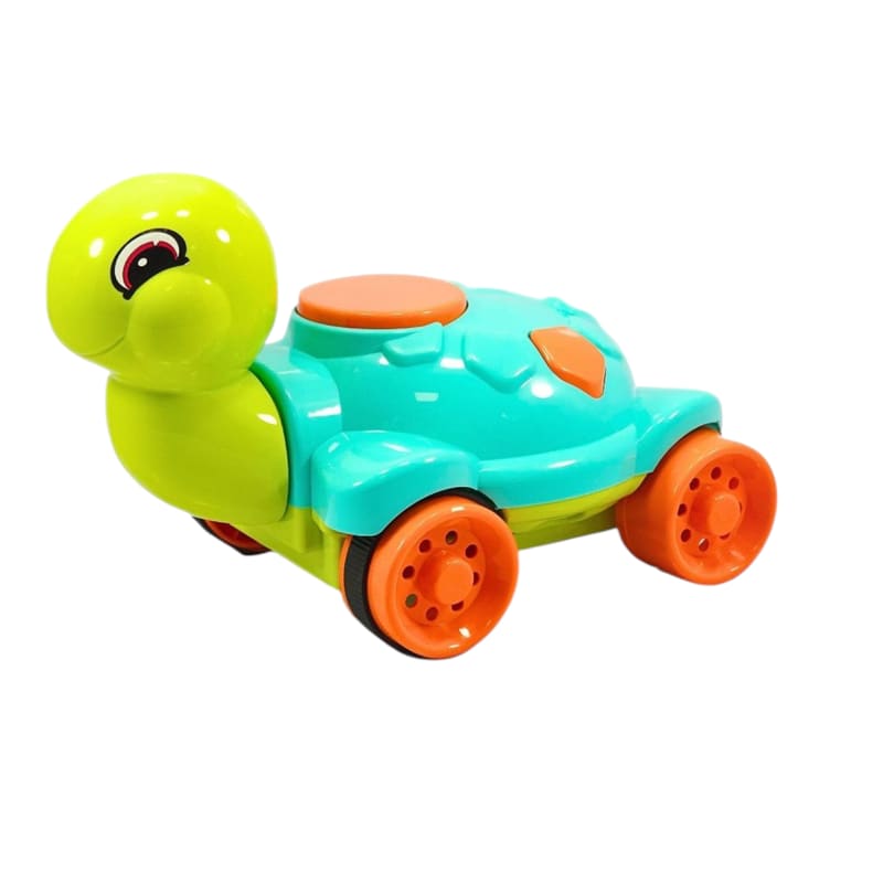 Push & Go Tortoise 