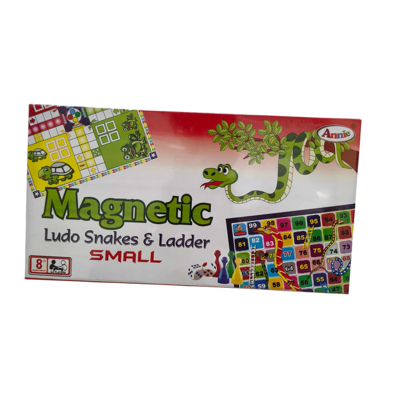 Magnetic Snake Ladders small
