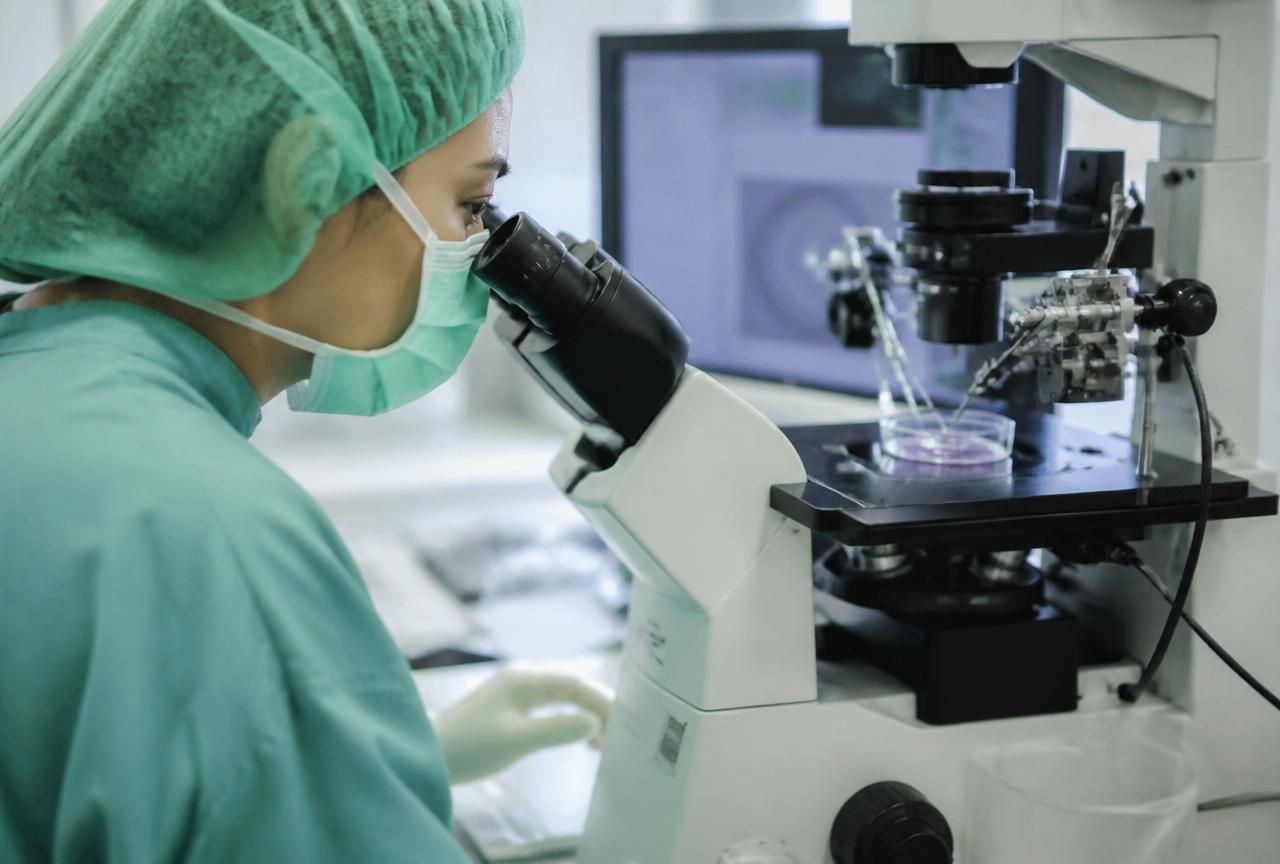 What Egg Donation Really Involves