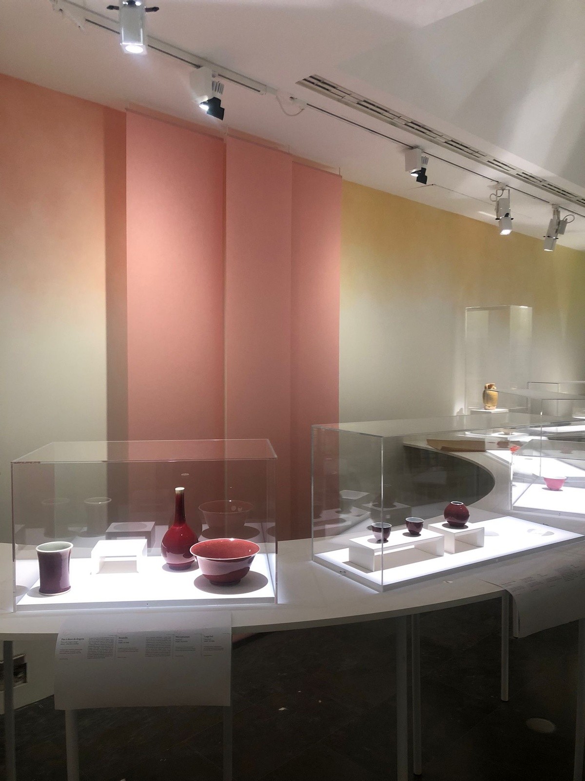 Vue d'ensemble de la patine nuagée au musée Guimet