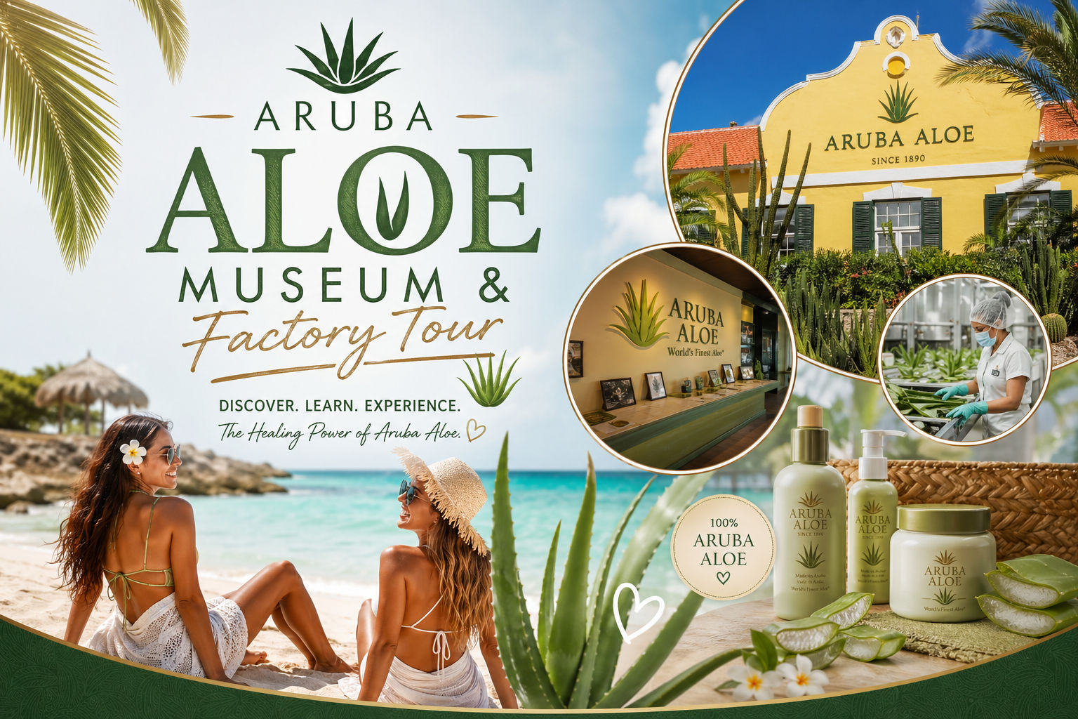 Aruba Aloe Museum & Factory Tour 2026