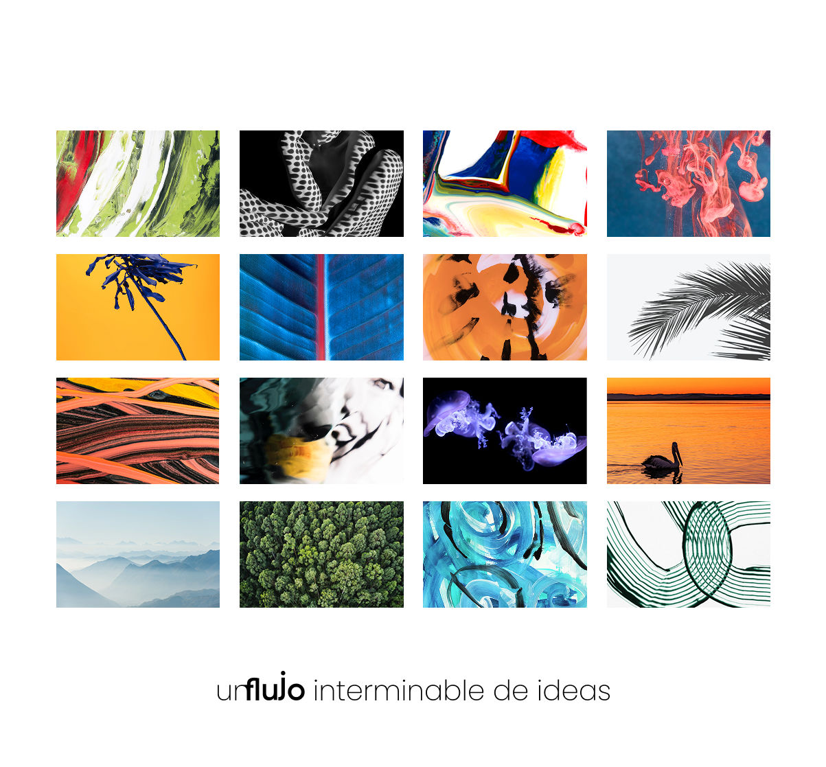 Diseño UX / UI — Fluxio