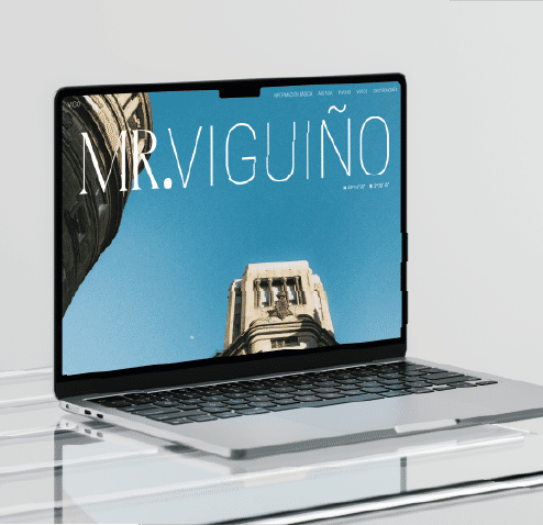 Diseño Web — Mr.Viguiño