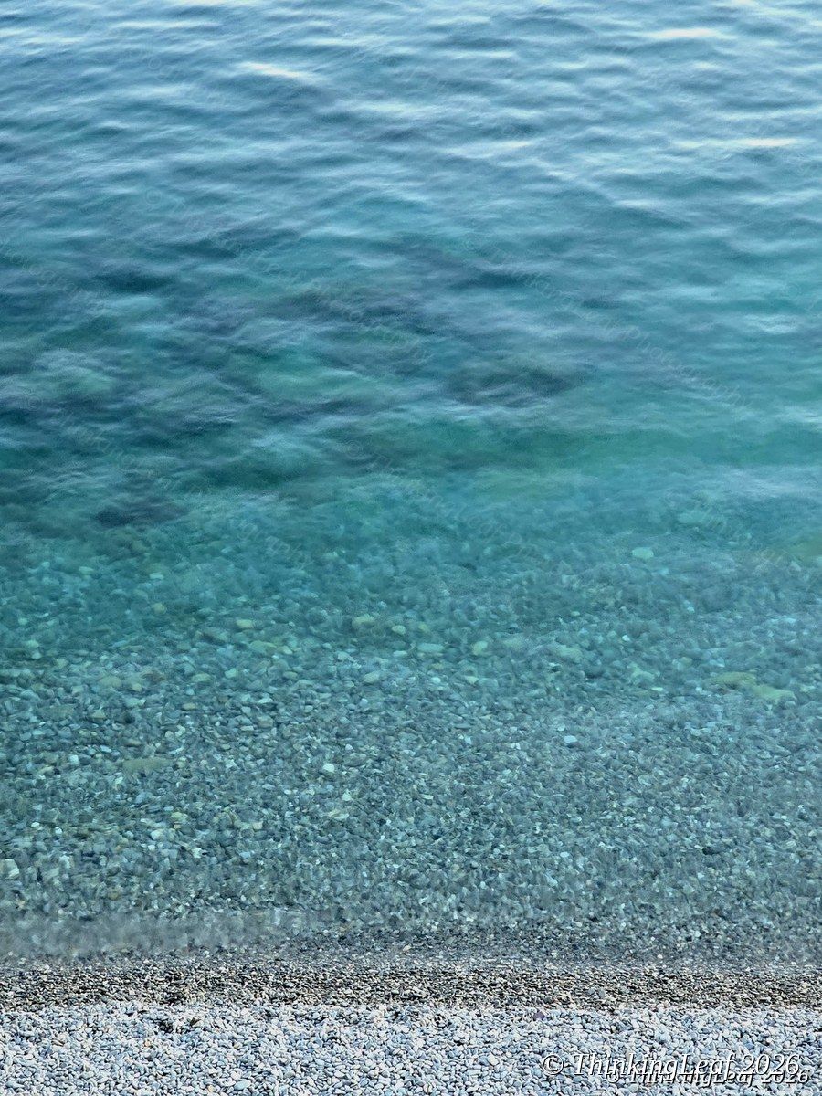 Mediterranean Shore