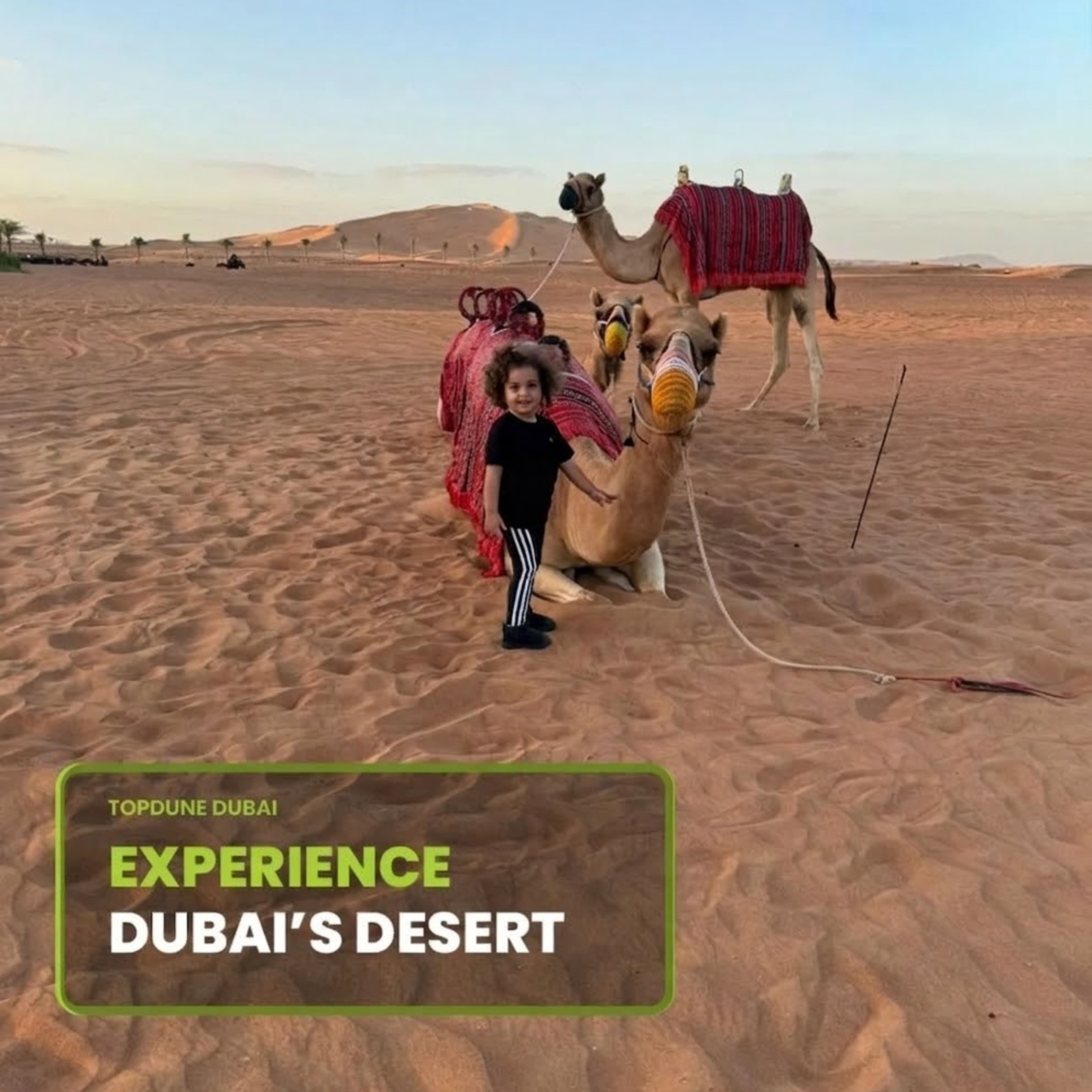 Dune Bashing and Quad Biking Adventures - TopDune Dubai