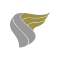 Oman Aviation