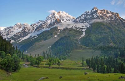 Kashmir