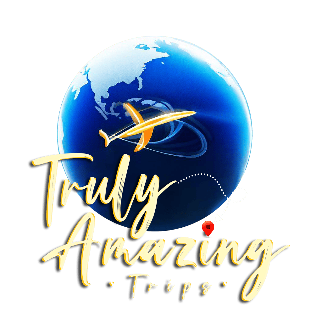 logo_img