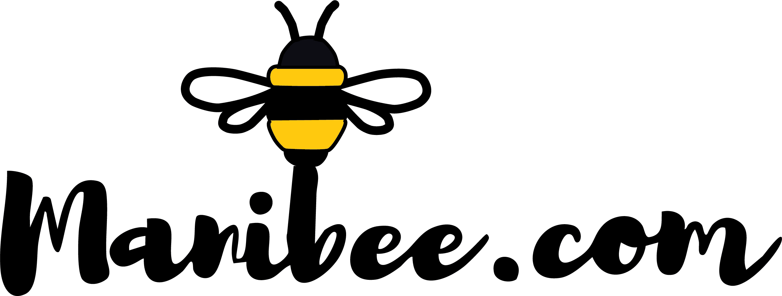 logo_img