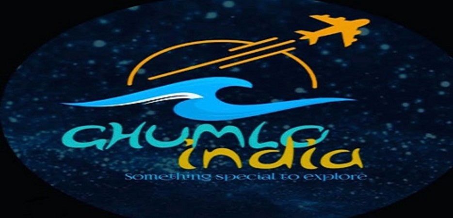 logo_img