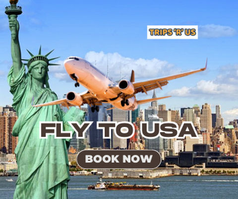 Fly to USA