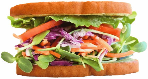 Hippie Sandwich Lunch