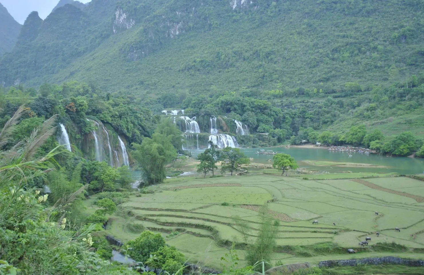 Ban Gioc waterfall along the famous Cao Bang loop