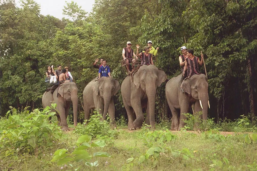 elephant riding experience in you don