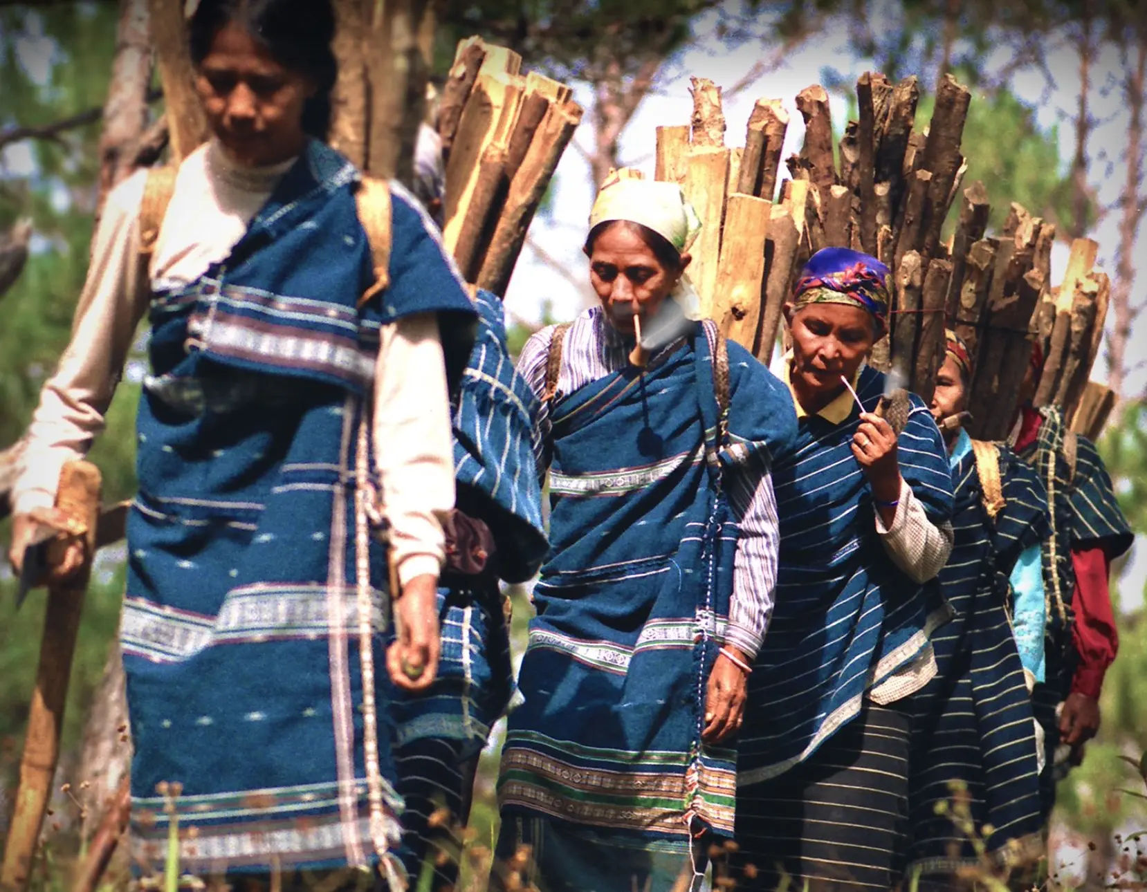 A group of ethnic minority ladies looking for firewood at lang biang mountain in lam dong, near the city of Dalat.