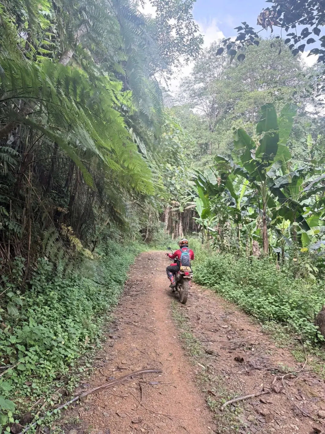 motorbike tours vietnam to laos 