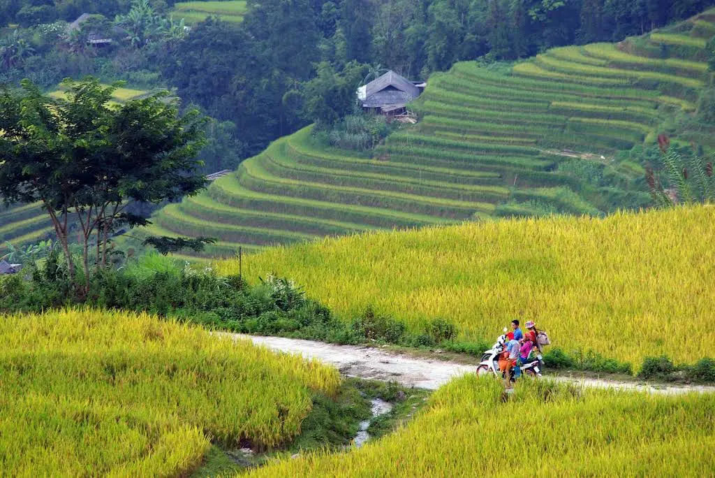 ha giang routes are divided into 2 main part: 1 touristy classic ones and the lesser-knows which barely visited by travelers.
