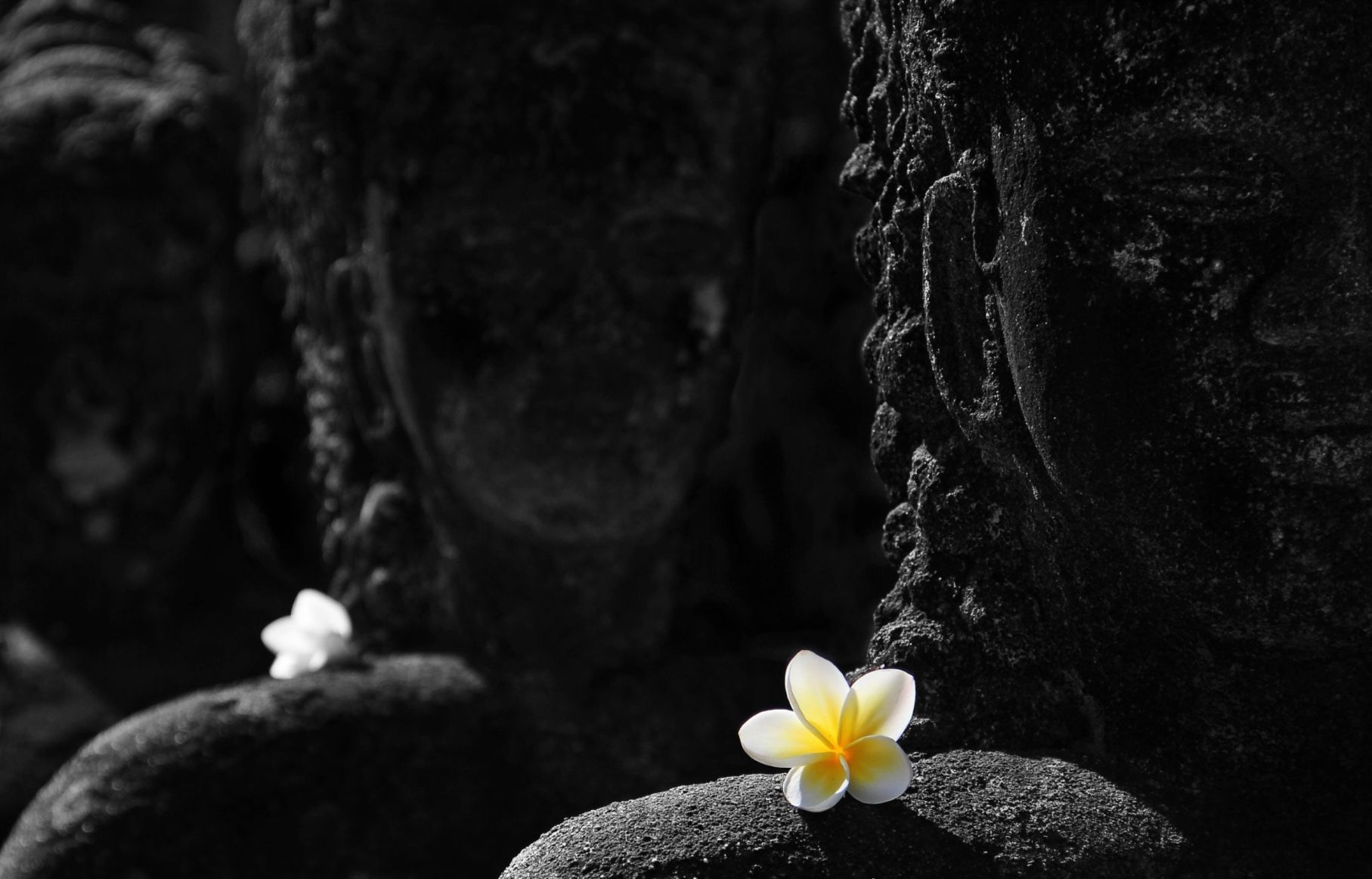 Dok Champa - National Flower of Laos - on the statue's shoulder symbolize a feeling of peace and tranquility.