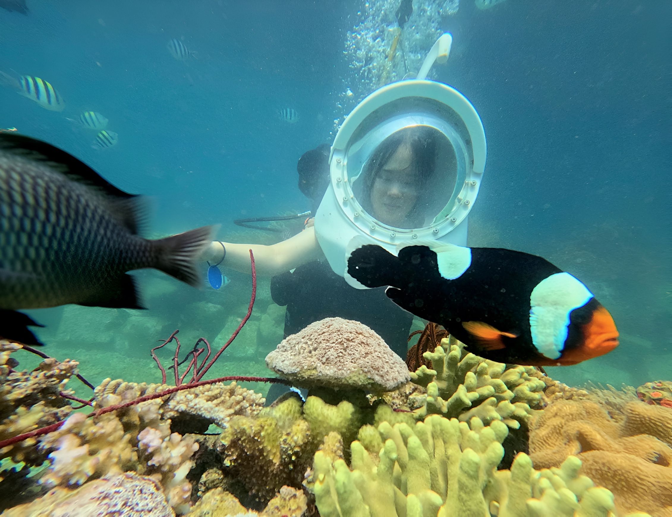 How much does it cost to travel to Vietnam? This is snorkeling in Nha Trang