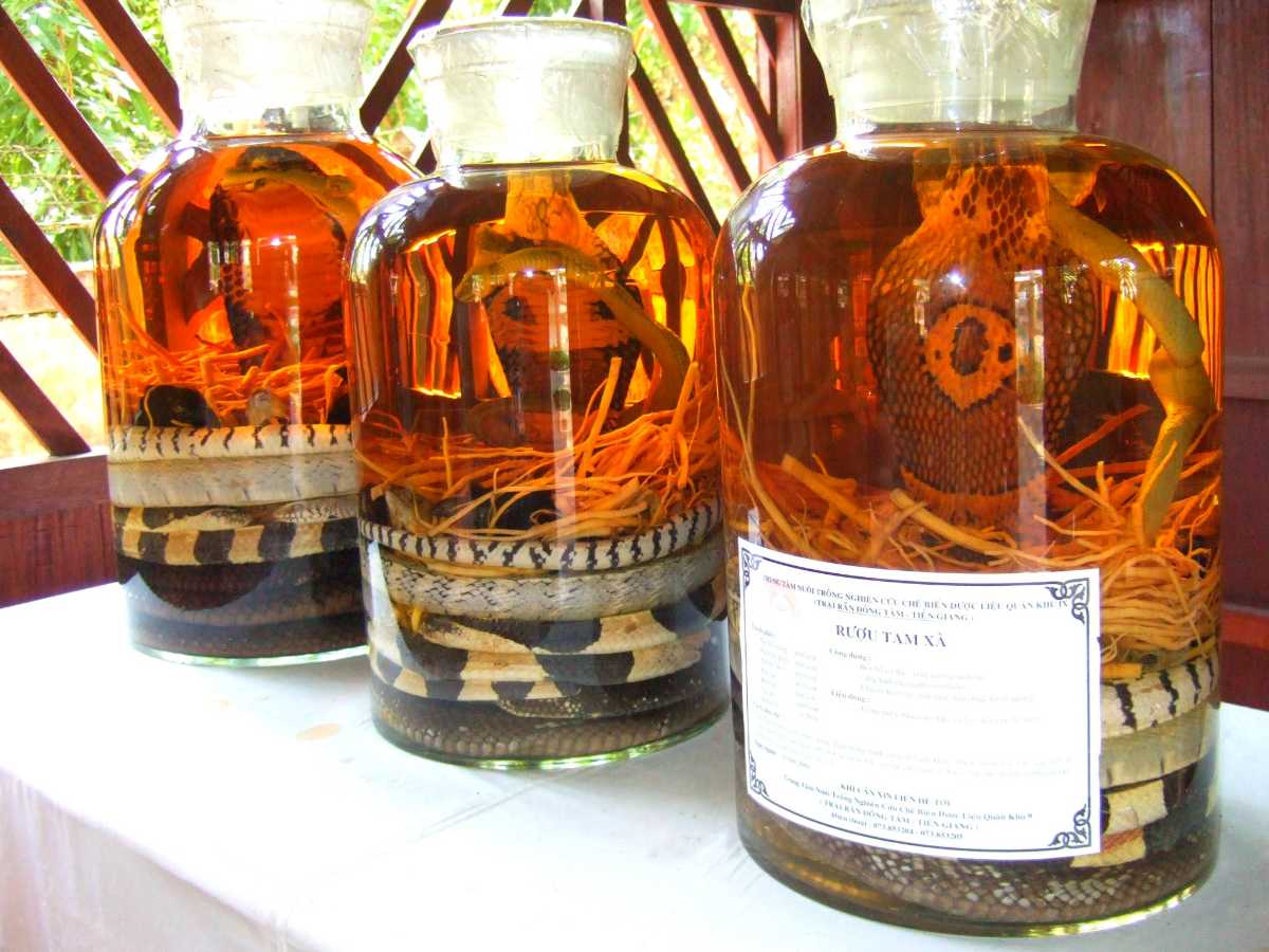 Snake wine in Vietnam