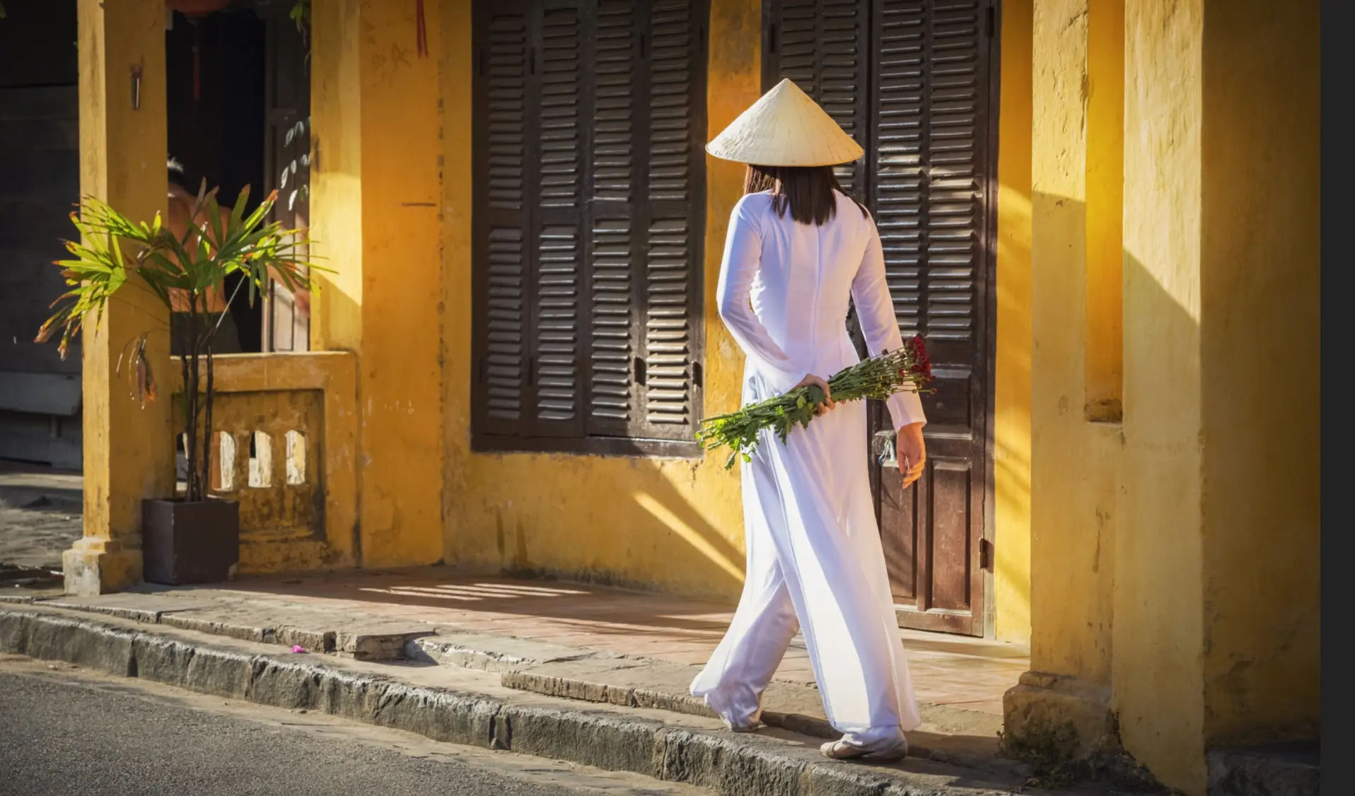 Vietnamese Iconic Symbols and Their Meaning