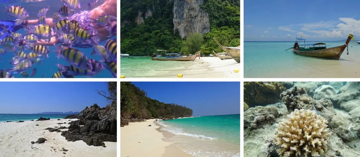 bamboo island