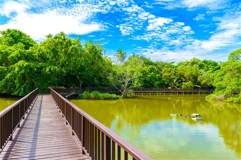 Bang Krachao is a perfect day trip for cycle enthusiasts