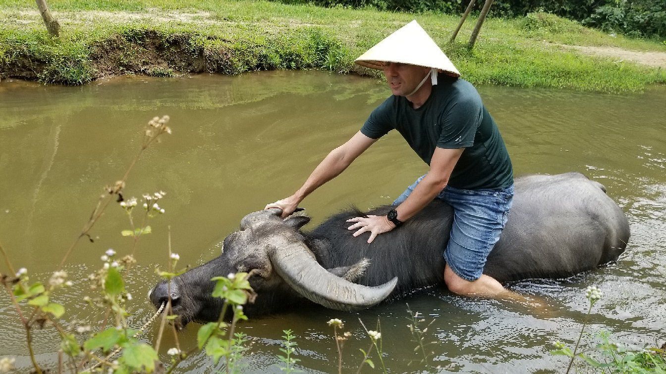 buffalo ride in duck farm phong nha