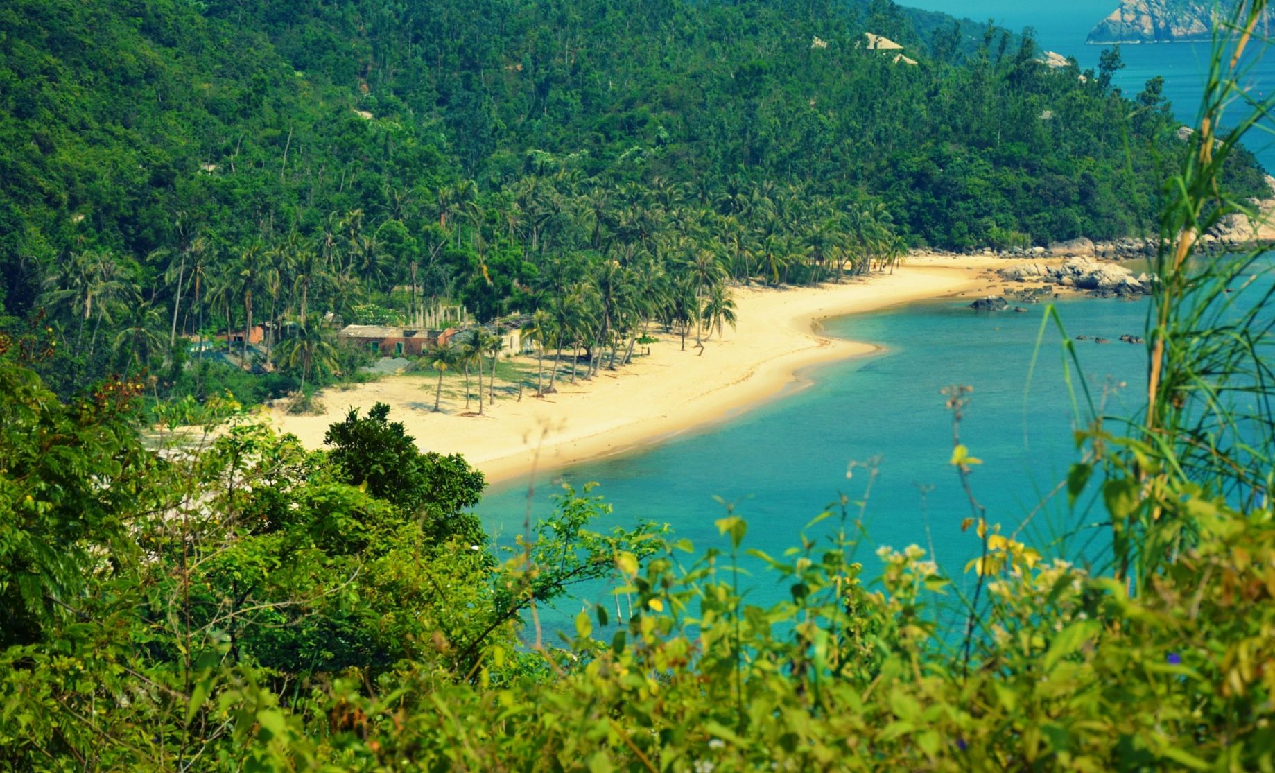 Introducing Cham Islands - vietnam best beaches