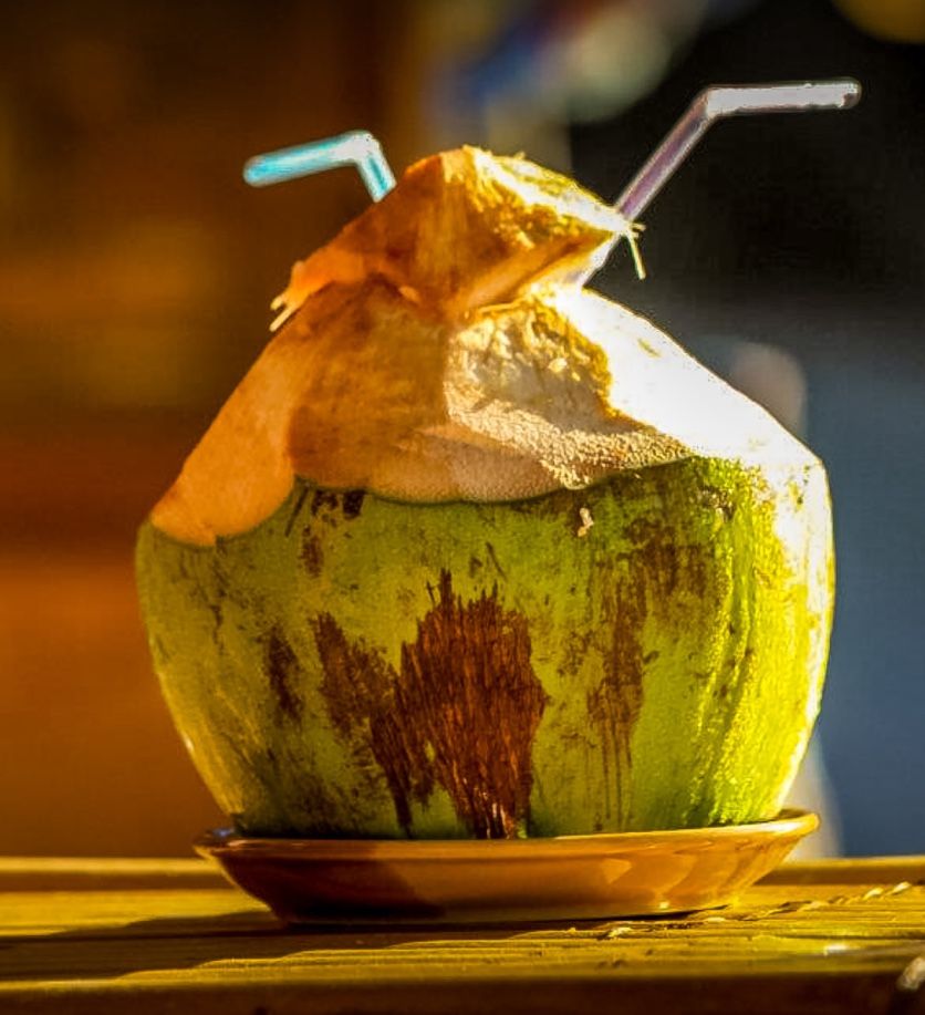 Coconut