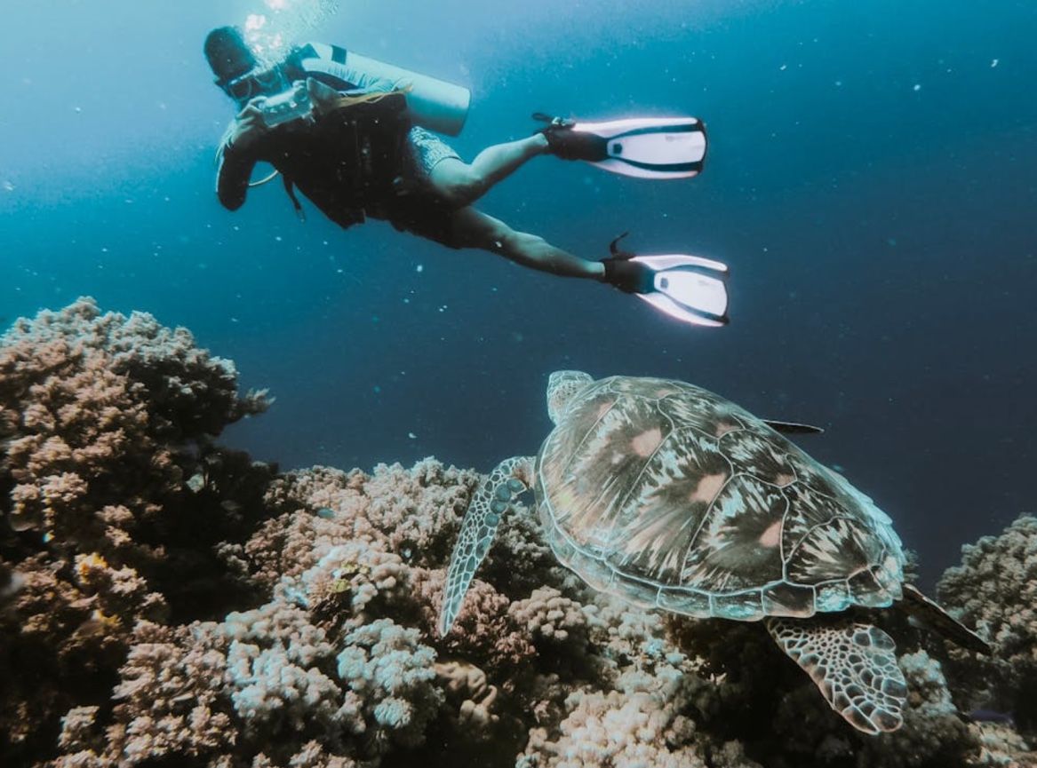 diving in nha trang