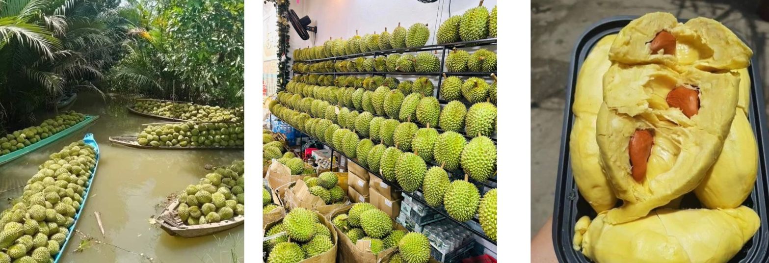 Durian is native of Mekong Delta regions