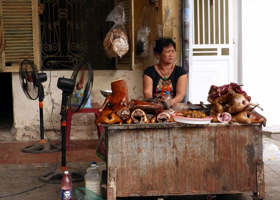 eating dog and cat meat in vietnam