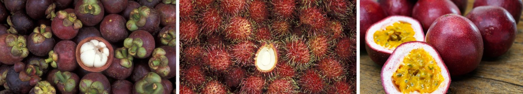 List of fruits in Vietnam