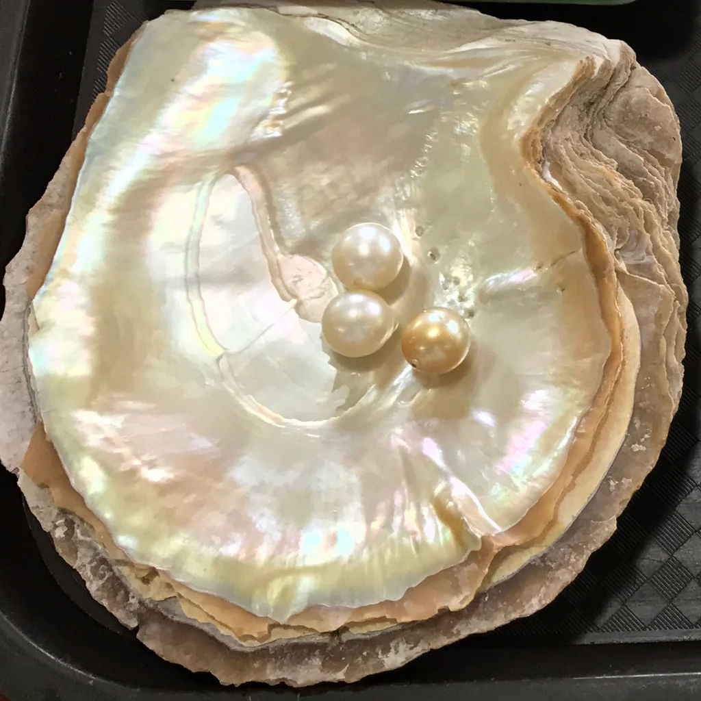 halong pearl