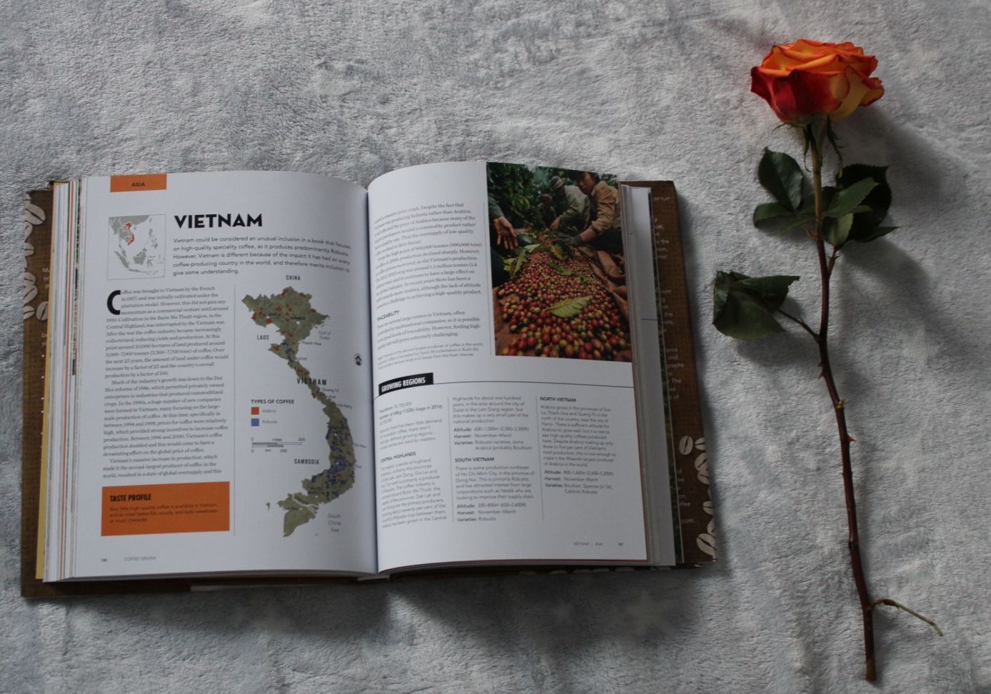 Where does Vietnamese coffee come from?