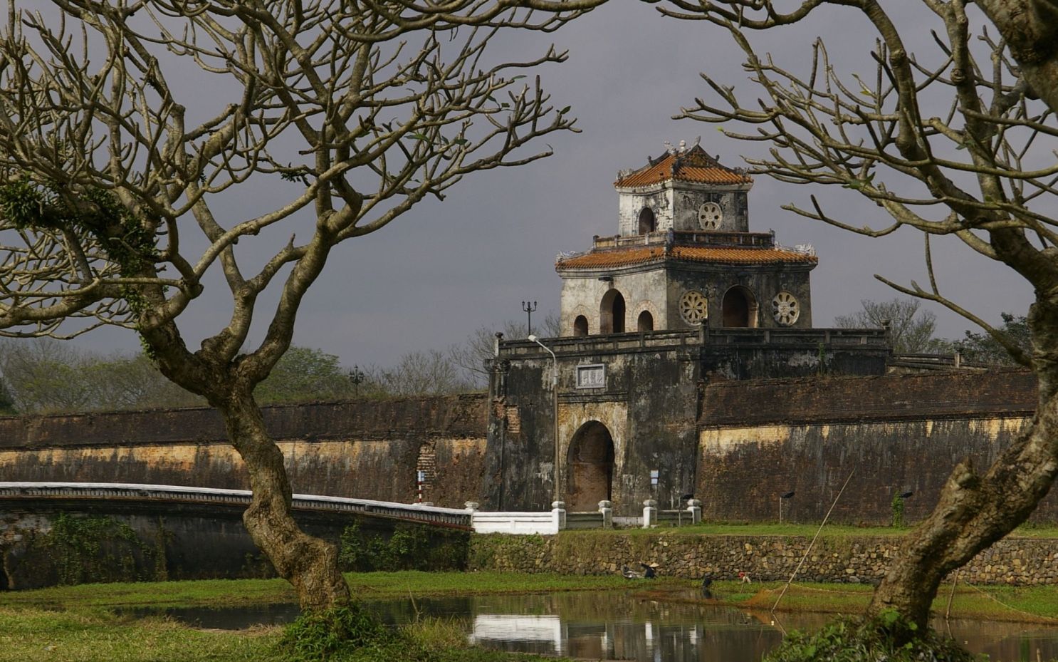 Forbidden Purple City