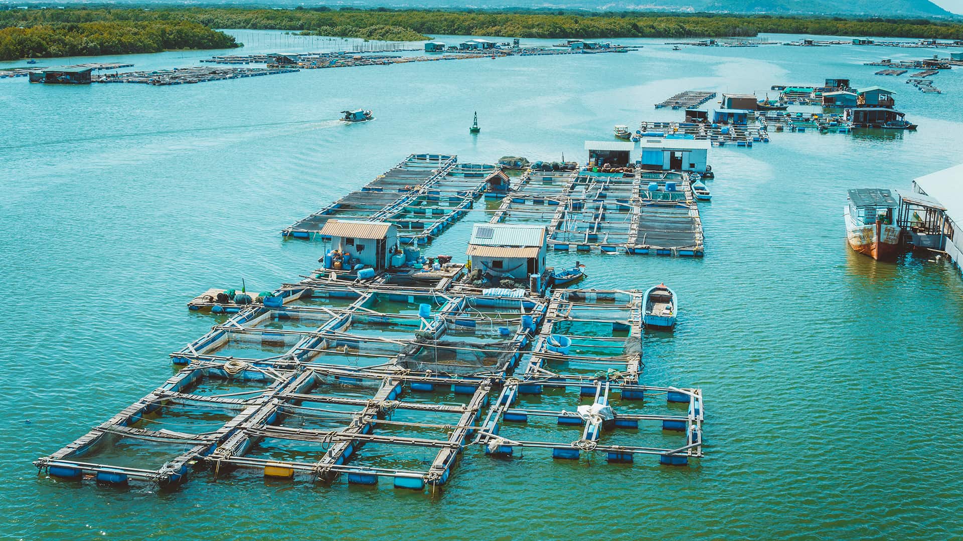 fishing village around vung tau
