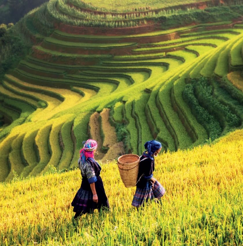 Mu Chang Cai is a must visit in the north of Vietnam for photographers.