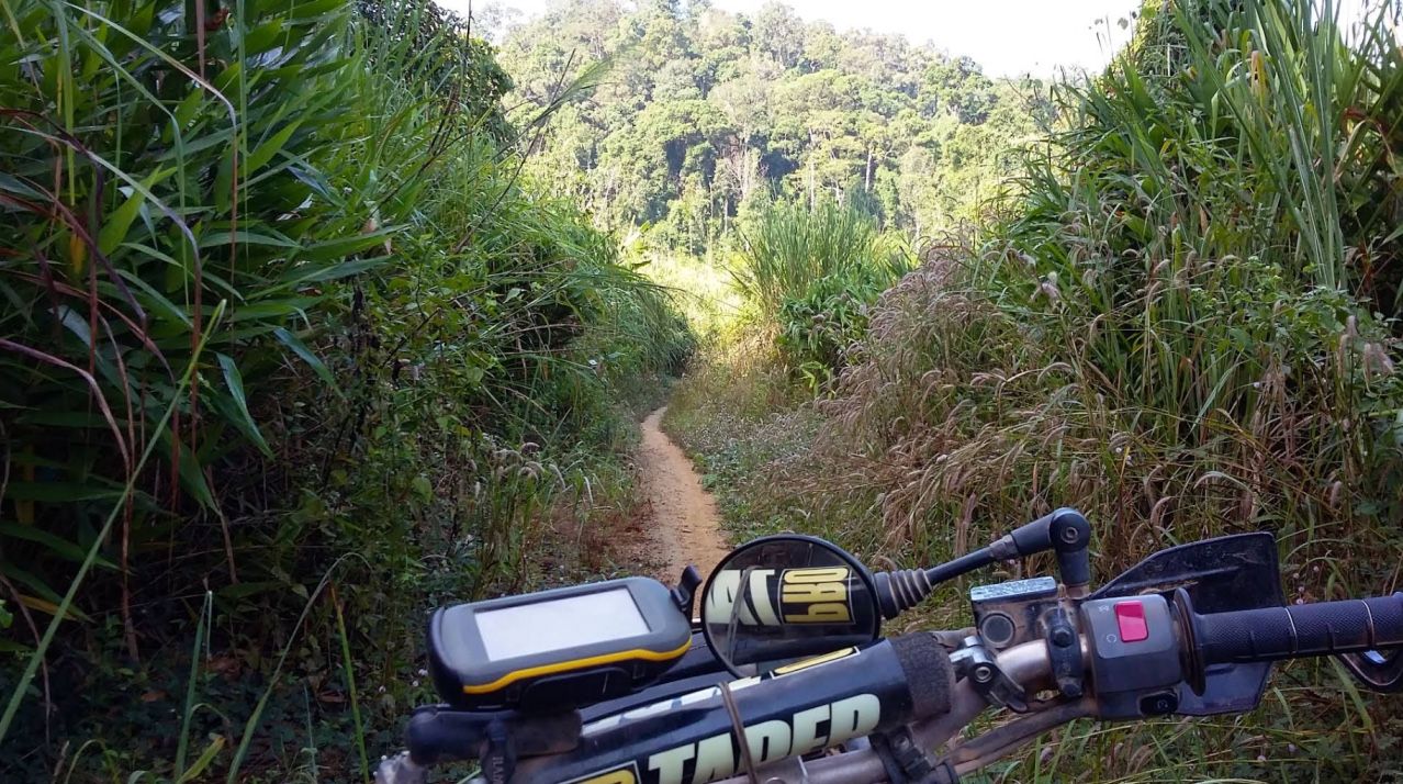 Ho Chi Minh tran - jungles of vietnam