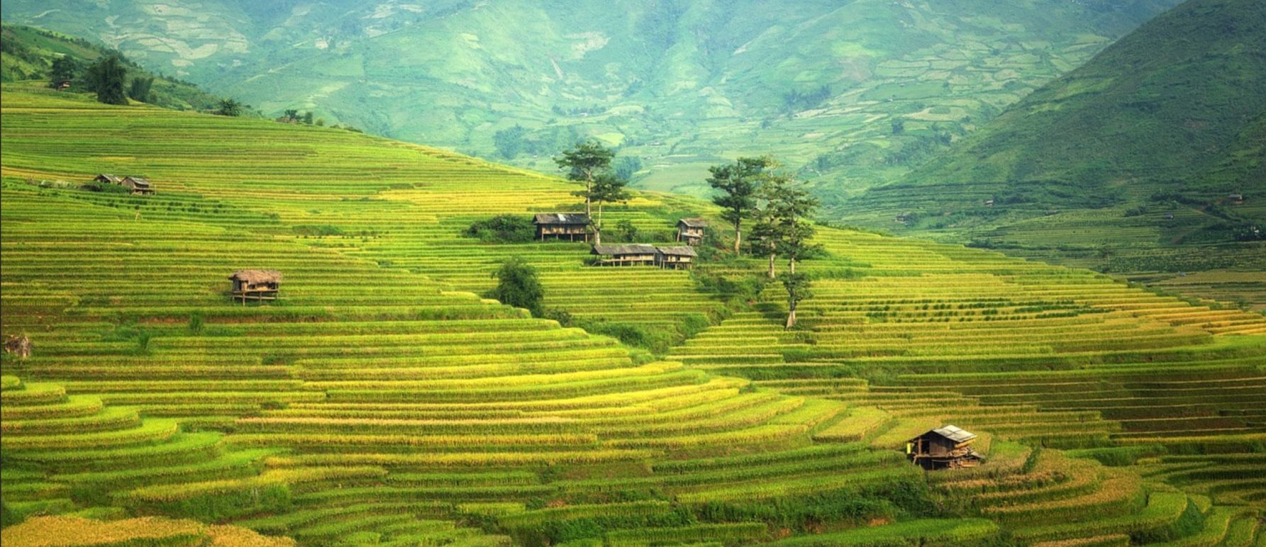 Pu Luong, located in Thanh Hoa Province, Vietnam, is renowned for its stunning landscapes and picturesque rice fields. The region is a hidden gem that attracts nature enthusiasts and adventure seekers looking to escape the hustle and bustle of city life