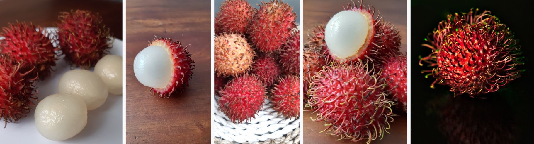 Rambutan, Vietnamese name: Chôm Chôm