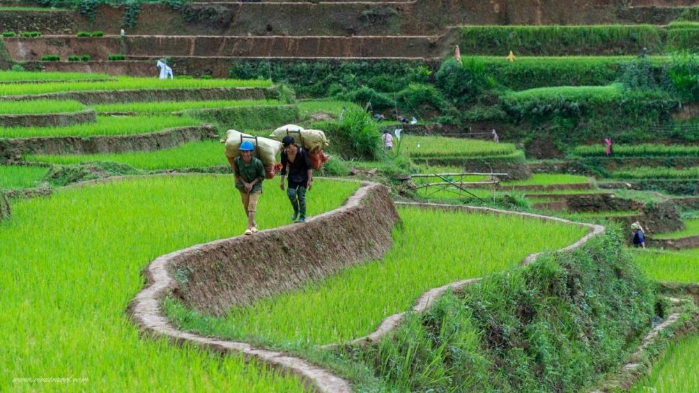 ride to tu le valley in Northwest Vietnam