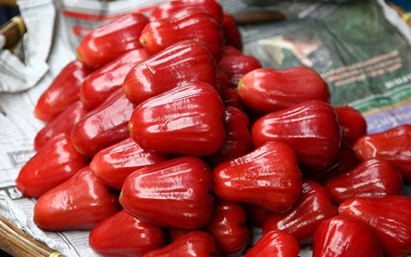 Rose Apple